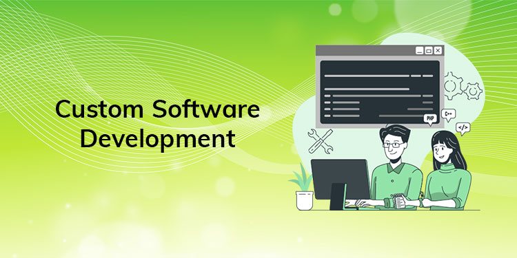 Guide to Custom Software Development