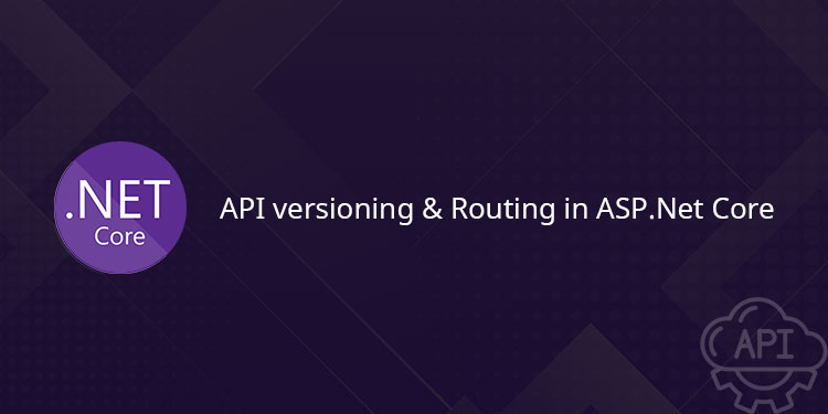 API Versioning API Versioning