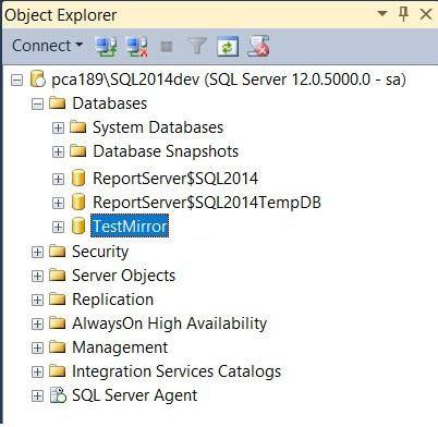 Primary Database Server