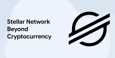 Stellar Network Beyond Cryptocurrency