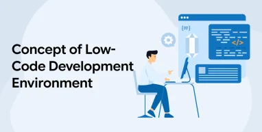 Concept of Low-Code Development Environment