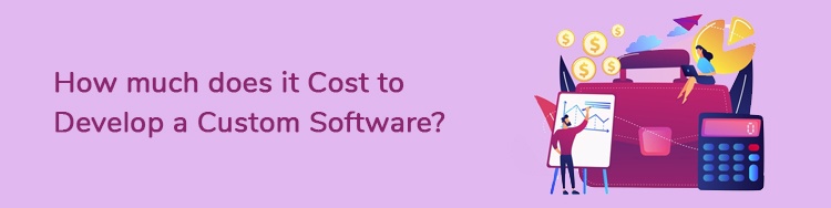 How-much-does-it-Cost-to-Develop-a-Custom-Software