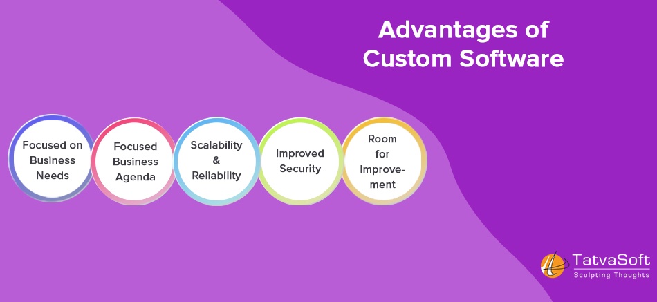 Advantages of Custom Software