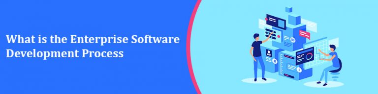 What is the Enterprise Software Development Process