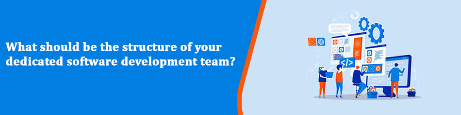 What should be the structure of your dedicated software development team? What should be the structure of your dedicated software development team?
