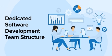 Dedicated Software Development Team Structure