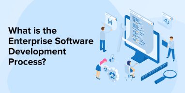What is the Enterprise Software Development Process? What is the Enterprise Software Development Process?