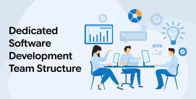 Dedicated Software Development Team Structure