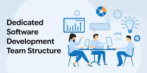 Dedicated Software Development Team Structure 