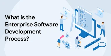 What is the Enterprise Software Development Process?