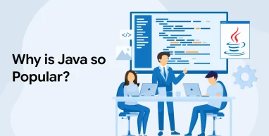 Why is Java so Popular?