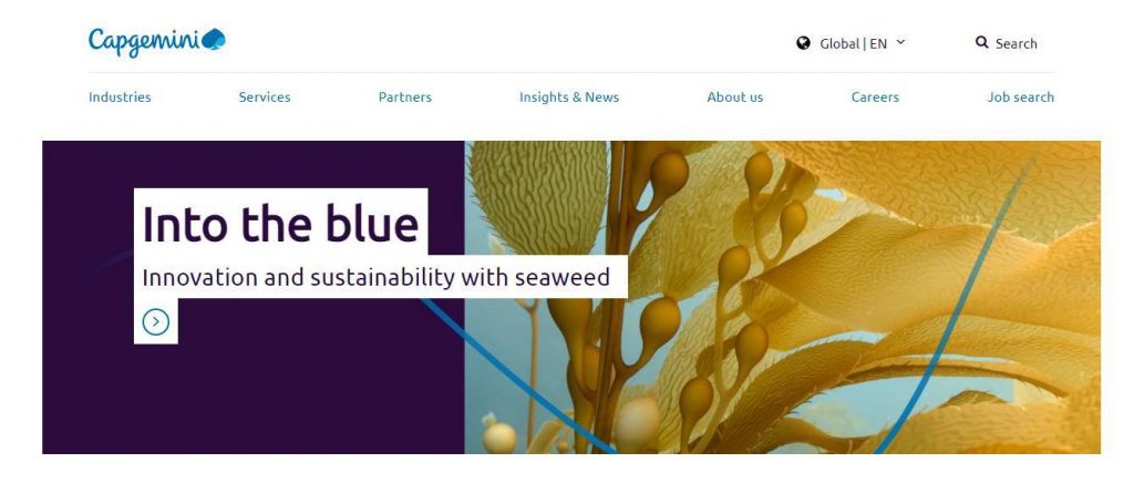 Capgemini - One of The Top-Rated Software Development Companies in India Capgemini - One of The Top-Rated Software Development Companies in India