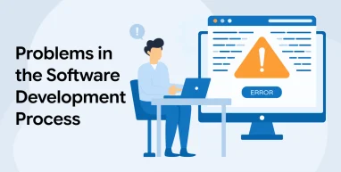 Problems in the Software Development Process