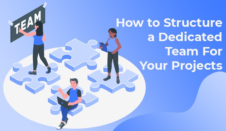How to Structure a Dedicated Team for Your Projects