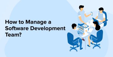 How to Manage a Software Development Team?