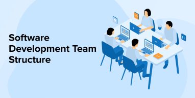 Software Development Team Structure Software Development Team Structure