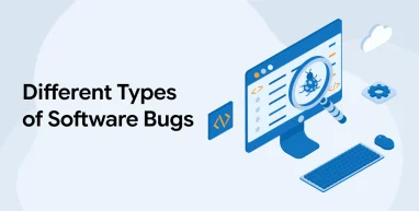 Different Types of Software Bugs