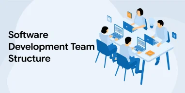 Software Development Team Structure