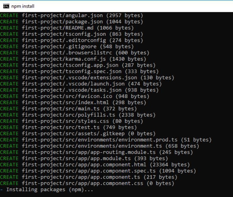 npm install npm install