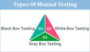 What is Manual Testing? A Complete Guide - TatvaSoft Blog