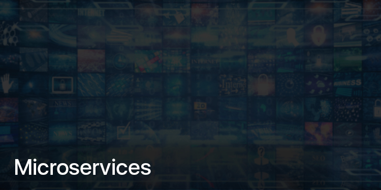 solving-architectural-bottleneck-with-microservices-2 Solving architecture bottleneck with microservices