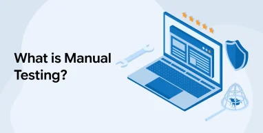 What is Manual Testing?