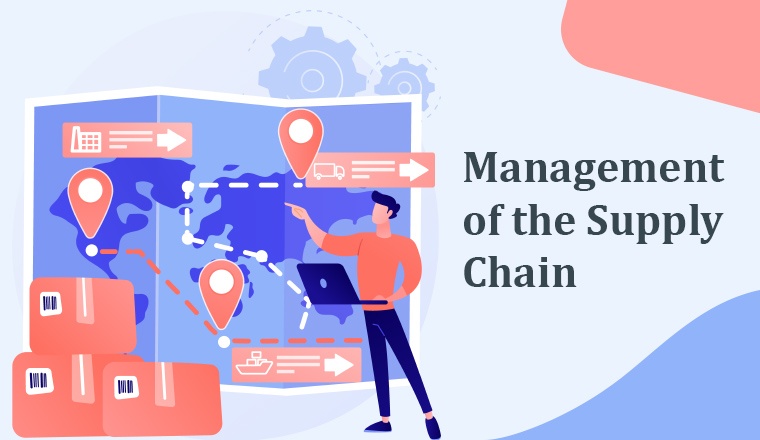 Management of the Supply Chain (SCM)