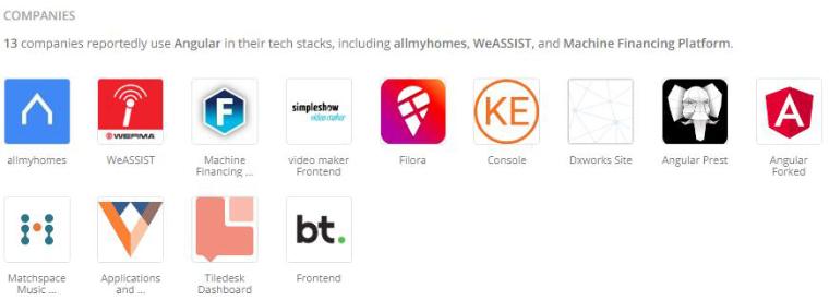 Companies using Angular Companies using Angular