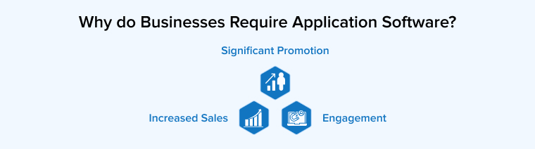 Why do Businesses Require Application Software? Why do Businesses Require Application Software?
