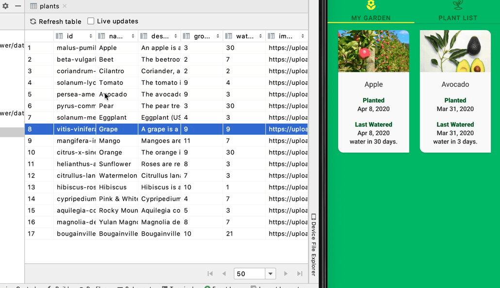 Database Test Cases Database Test Cases