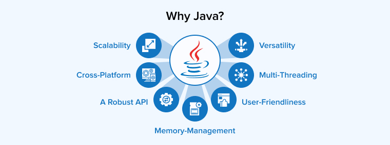 Why Java? Why Java?