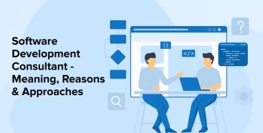 Software Development Consultant Software Development Consultant