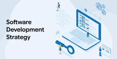 Software Development Strategy