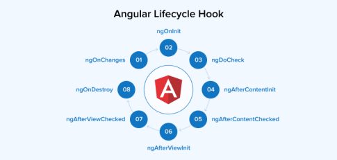 A Detailed Guide on Angular Lifecycle Hook - TatvaSoft Blog