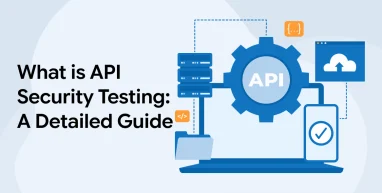 What is API Security Testing : A Detailed Guide