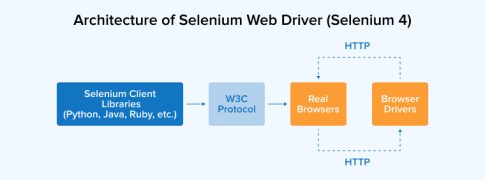 What is Selenium Testing? A Complete Guide - TatvaSoft Blog