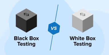 Black Box vs. White Box Testing