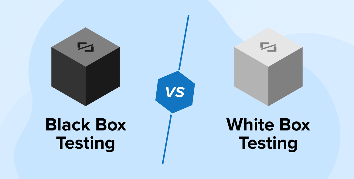 Black Box vs. White Box Testing