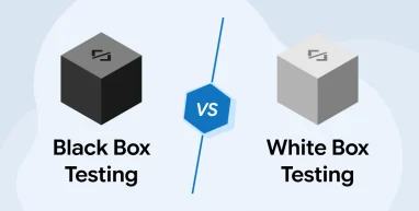 Black Box vs. White Box Testing