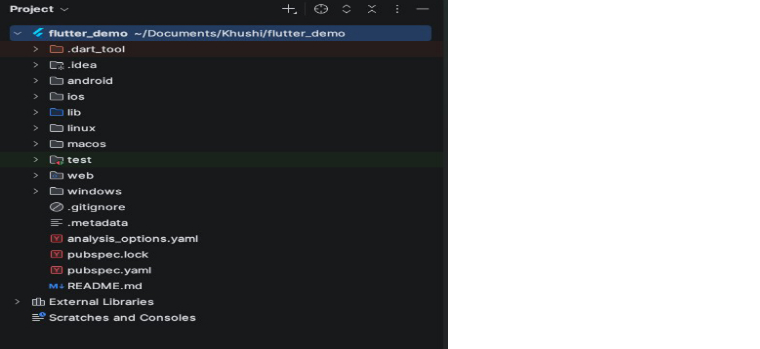 File Structure
